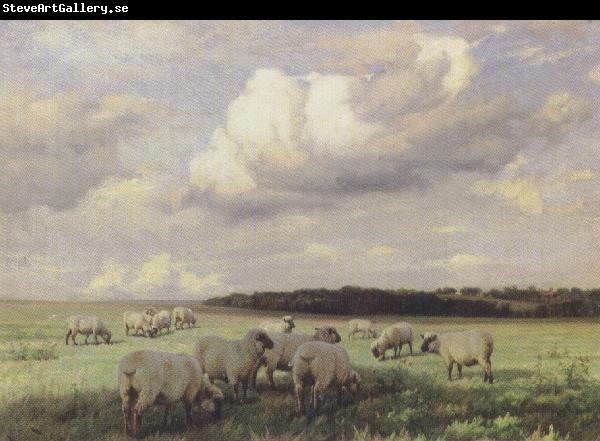 wright barker Upland Pastures (mk37)